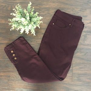 d.jeans Purple Maroon 3/4 Length Jeans